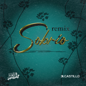 Sobrio (Remix)