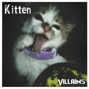 Kitten