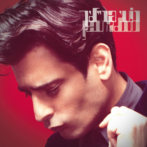 סערה חשמלית