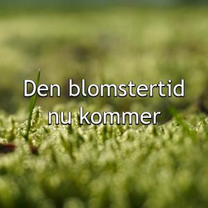 Den blomstertid nu kommer (Remix)