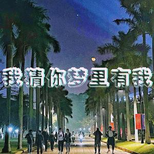 我猜你梦里有我