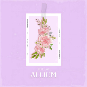 Allium