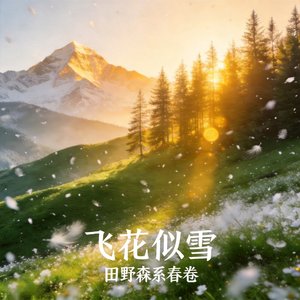 飞花似雪