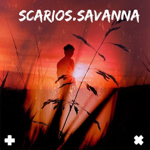 Savanna (Radio Edit)