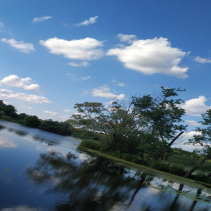 Краєвиди