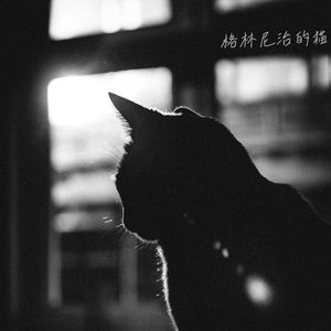 唱吧 冬天的歌手