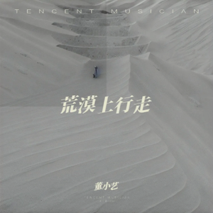 荒漠上行走