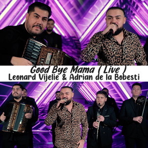 Good Bye Mama (Live)