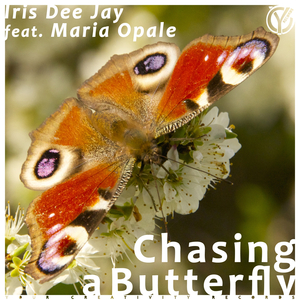 Chasing a Butterfly (Ambient Mix)