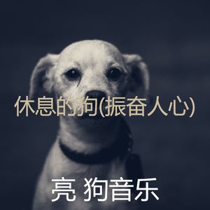 好玩(休息的狗)