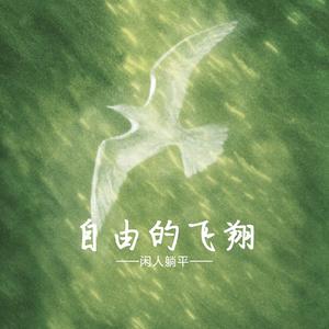 自由的飞翔
