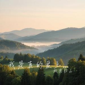 我是真的爱上你(Cover 王杰)