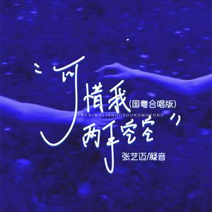 可惜我两手空空 (国粤合唱版)