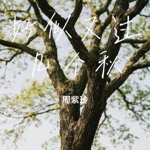 好似又过几个秋