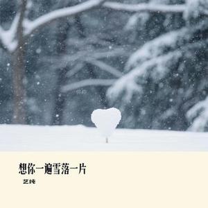 想你一遍雪落一片