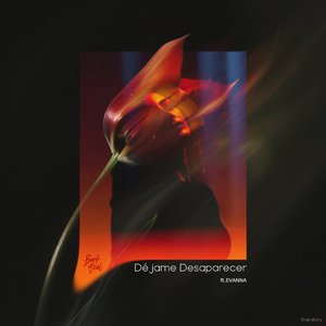 Déjame Desaparecer