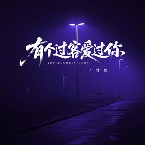 有个过客爱过你