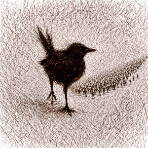 Aves