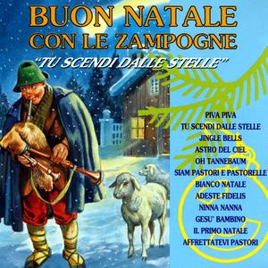 Affrettatevi pastori/Strumentale