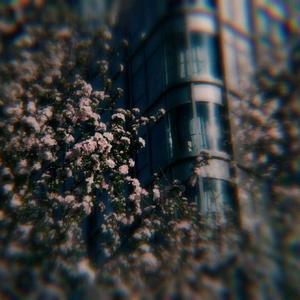 Oh my god(vocal only)（翻自 (G)I-DLE）