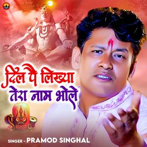 Dil Pe Likhya Tera Naam Bhole