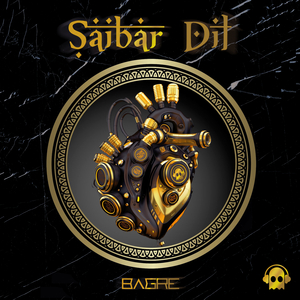 Saibar Dil (Original Mix)