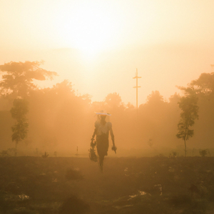 Cocoa Farmer