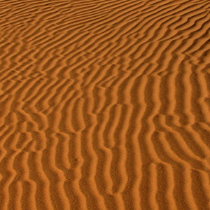 十二月的第一天