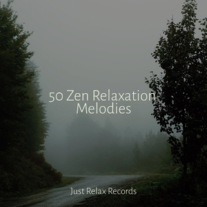 Midnight Hushful Hues