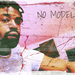 NO MODEL