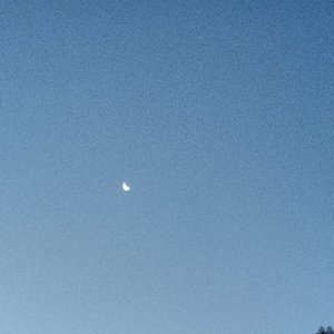 蔡健雅-达尔文（钢琴版）（lhn的故事 remix）
