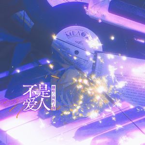 不是爱人
