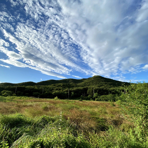 一个美丽的传说