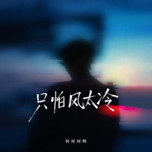 只怕风太冷