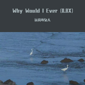 Paula DeAnda - Why Would I Ever（Slowed）