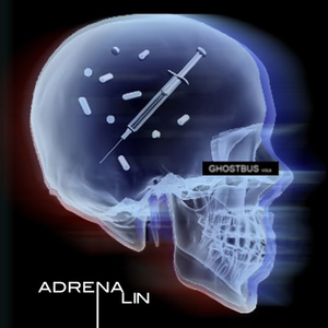 Adrenalin