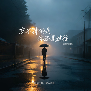 忘不掉的是你还是过往
