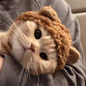 走进你心里-陈陈翻唱变音版（翻自 空匪）