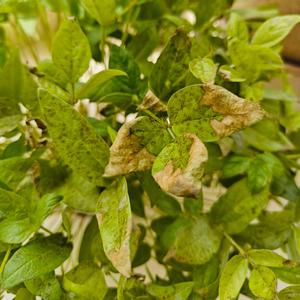 खूबी तुझमें सब की है, जिसमें मर्ज़ी तब की है।