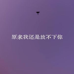 原来我还是放不下你