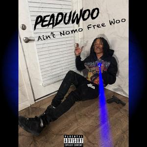 Aint Nomo Free Woo