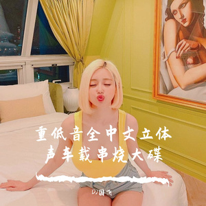 重低音全中文立体声车载串烧大碟