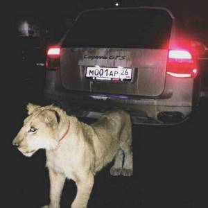 Gidiyorum(Aldir mix)