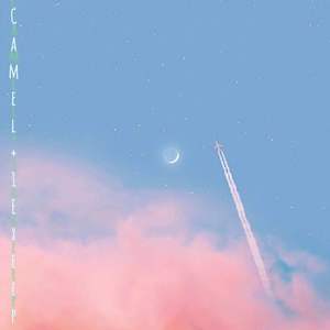 张震岳-思念是一种病(Remix)