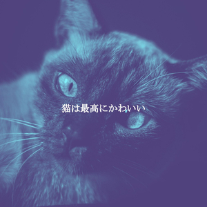 Vibrant Ambience for Rome Espresso Bars