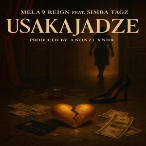Usakajaidze (feat. Simba Tagz)