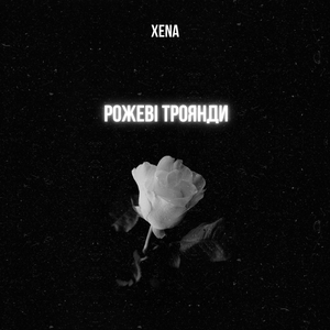 Рожеві троянди