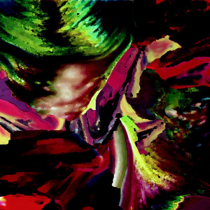 不可逆的パラレル世界