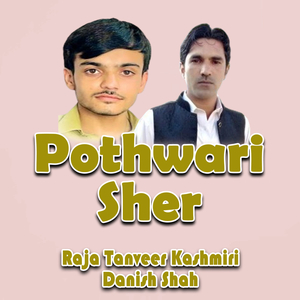 Pothwari Sher
