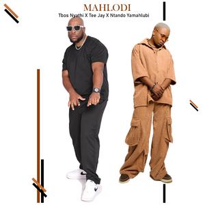 Mahlodi (feat. Tee jay & Ntando yamahlubi)